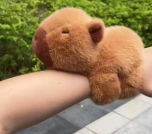 PELUCHE BRAZALETE CAPYBARA